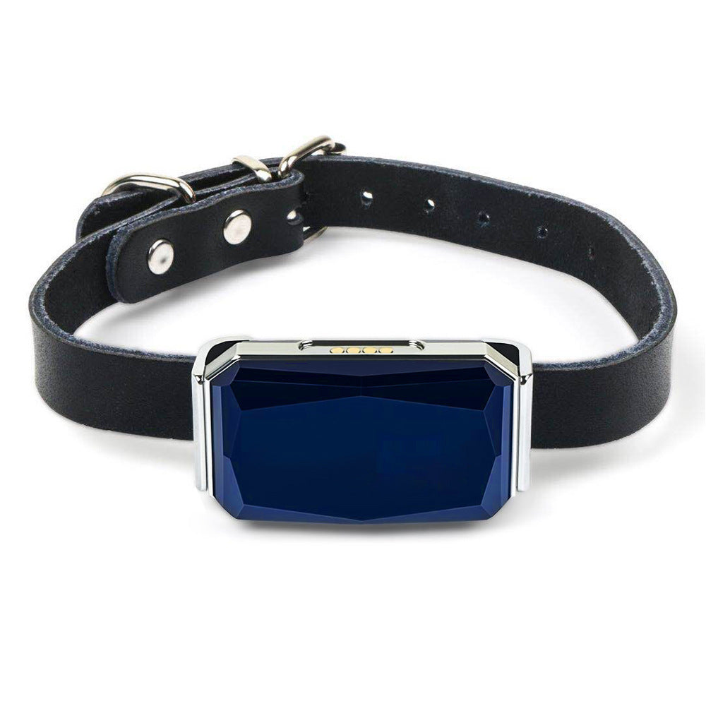PawGuard GPS Tracker Collar — Real-Time Pet Location